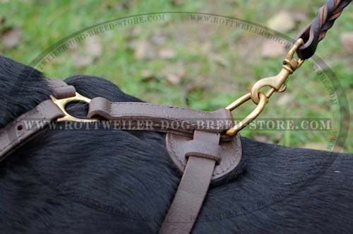 Top Quality Dog Harness