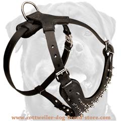 Necessary comfy decorated leather dog harness