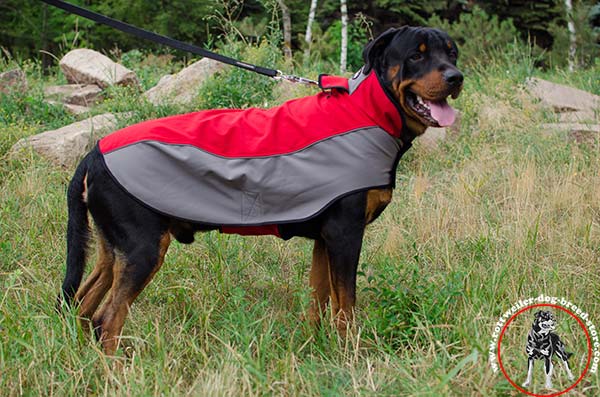 Extra warm Rottweiler nylon coat