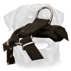 Adjustable Walking Rottweiler Puppy     Harness Buckle