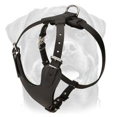 Reliable easy handling leather dog harness