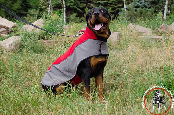 Waterproof Rottweiler winter coat 