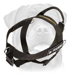 Well-made lightweight nylon dog harness