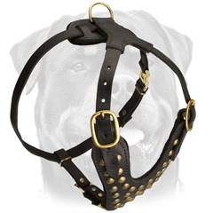 Easy walk studded leather dog harness