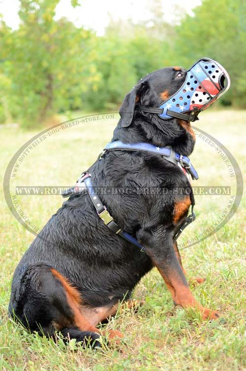 Leather Dog Harness American Flag Painted for Rottweiler Training