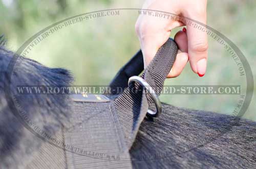 Heavy-Duty Upper Control Handle for Easy Mananagement of Your Dog