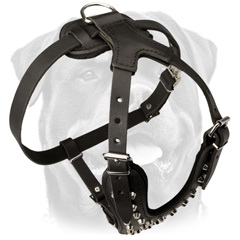 Assistant easy walk leather harness with nickel studs