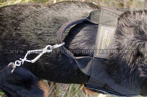  D-Ring Rustproof Meant for Leash Fastening