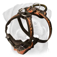 4 ways adjustable straps harness