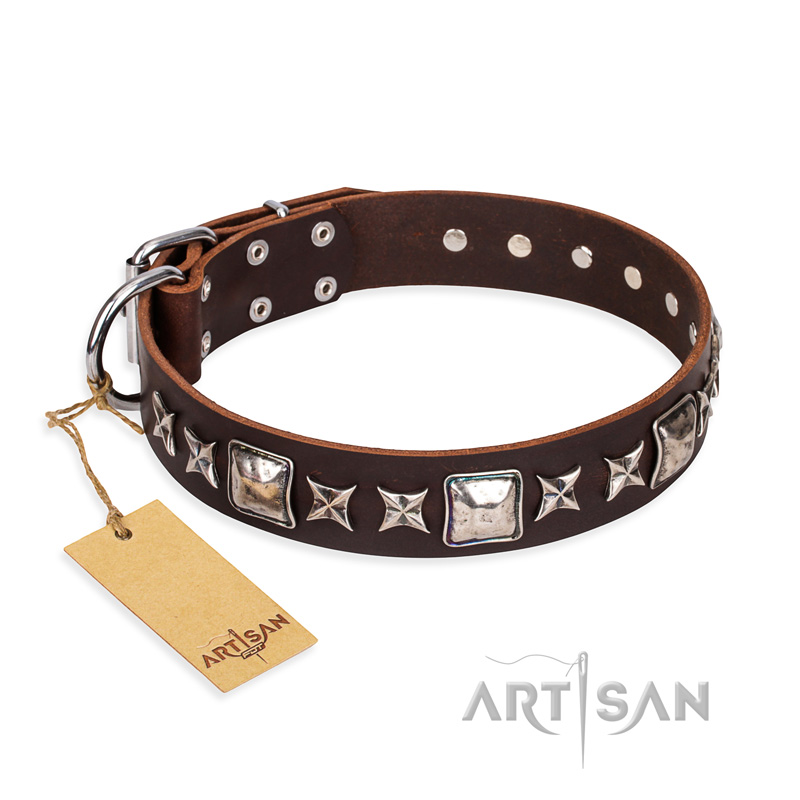 'Perfect Impression' FDT Artisan Rottweiler Brown Leather Dog Collar with Silvery Square Studs - 1 1/2 inch (40 mm) Wide