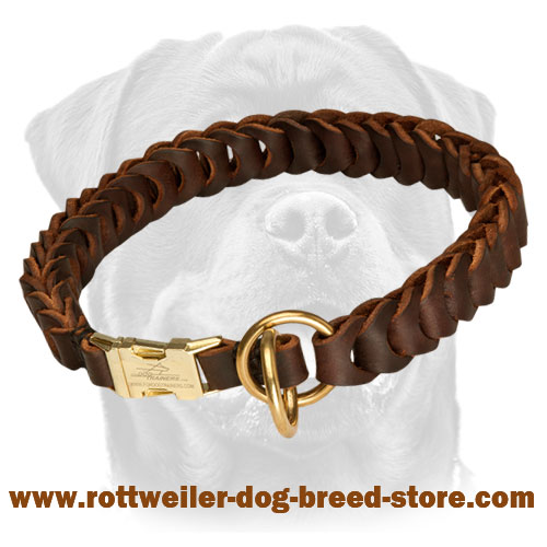 Braded Leather Dog Collar for Training and Behavior Correction