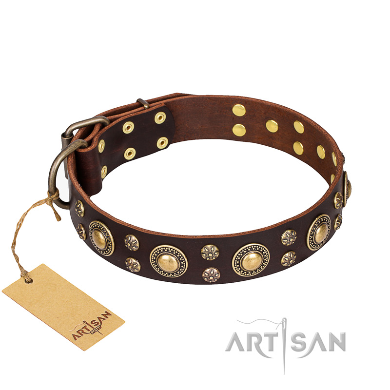 'Flower Melody' FDT Artisan Brown Leather Rottweiler Collar with Mixed Studs