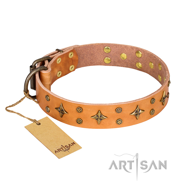 'Top-Flight' FDT Artisan Adorned Tan Leather Rottweiler Collar
