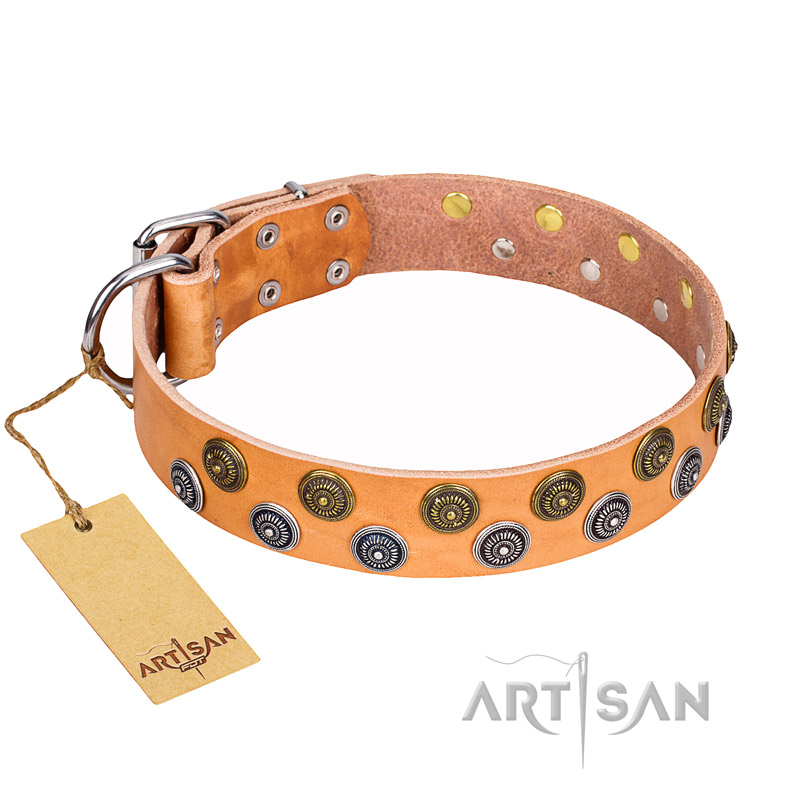 "Precious Sparkle" Exclusive Style FDT Artisan Tan Leather Collar for Stylish Rottweiler Outings
