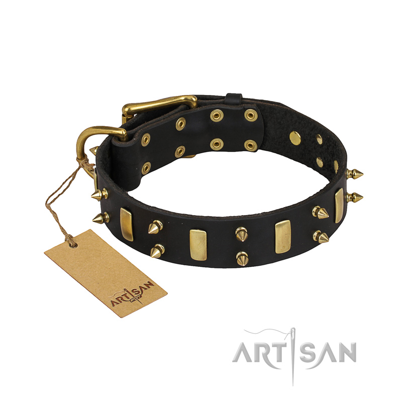 "Medieval Style" FDT Artisan Leather Rottweiler Collar with Brass Plates and Spikes