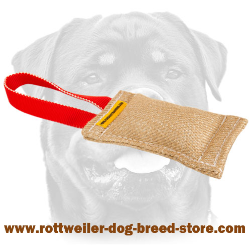 Rottweiler Jute Puppy Bite Tug with One Handle