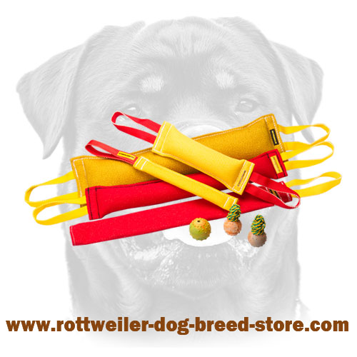 How Do You Clean A Dog Bite