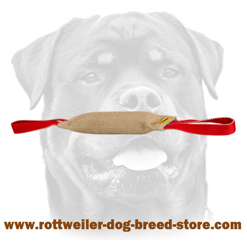 Rottweiler Bite Tug of Gentle Jute Material