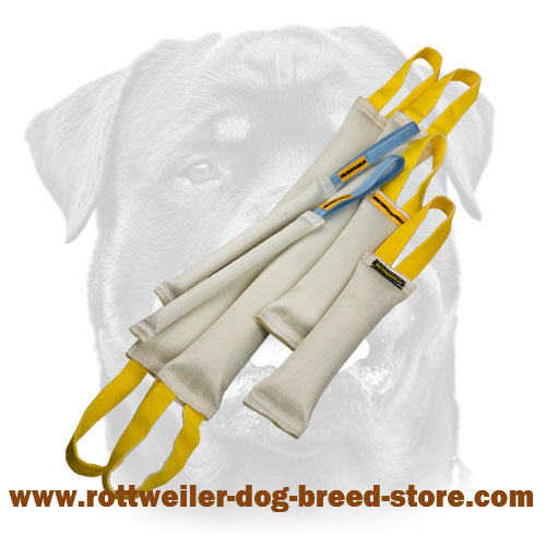 Doubled Dog Bite Tugs Set