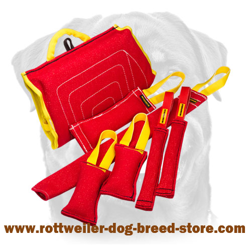 Upgraded Puppy Training Set of Bite Tools