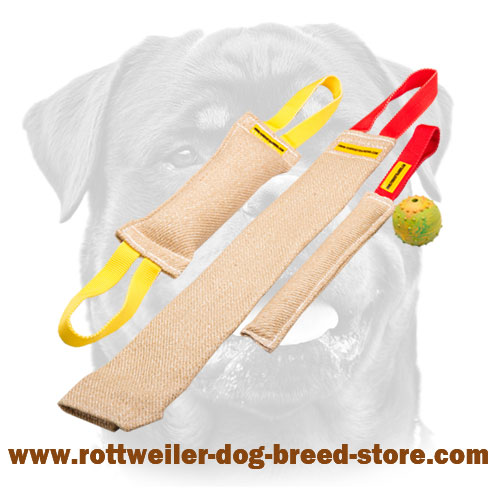 Set of Dog Bite Tugs for Efficient Training