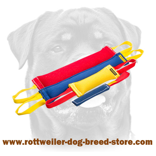 Upgraded Dog Training Set