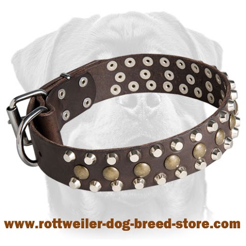 Leather Dog Collar with pyramids and studs