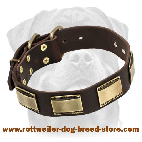 Designer Dog Collar for Rottweiler-Leather Custom Collar