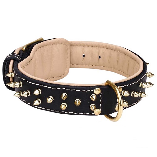 Fashion Spiked Buckle Collar for Great Rottweiler Dogs