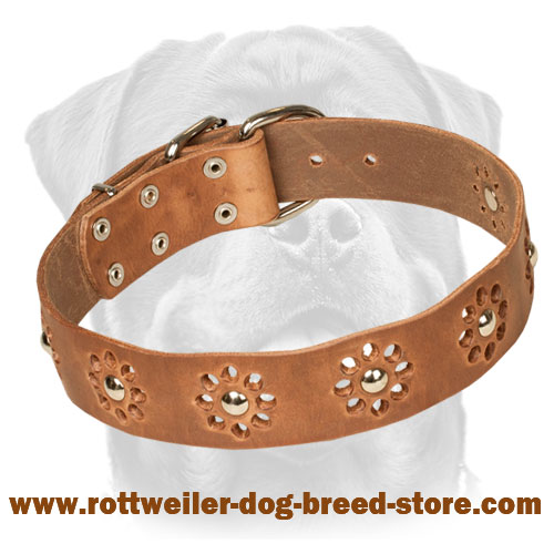 Leather Collar for Rottweiler of Flower Design