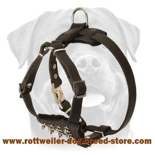 Leather Puppy Harness with Spiked Delicate Chest