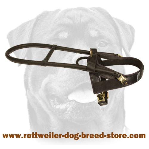 Guide & Assistance Leather Dog Harness for Rottweiler