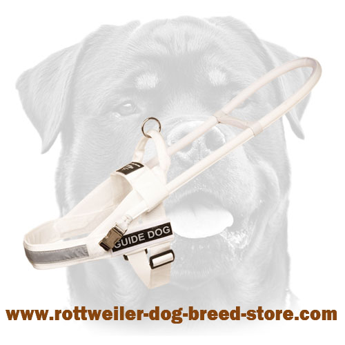 White Guide Nylon Rottweiler Harness