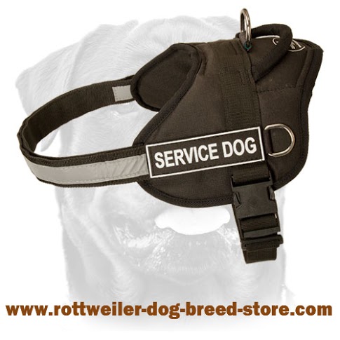Nylon Dog Harness for Rottweiler for Tracking, Training, Walking