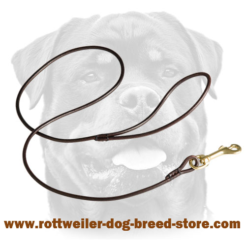 Round Leather Dog Leash for Rottweiler