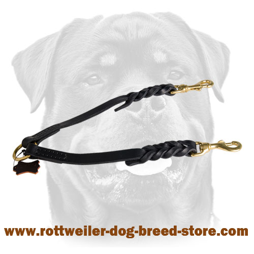 Braided leather coupler leash for walking 2 dogs