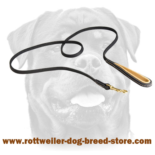 Handmade Leather Dog Leash for Rottweiler