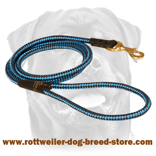 Cord Nylon Dog Leash for Walking and Training