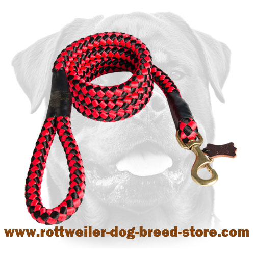 Cord nylon dog leash for Rottweiler