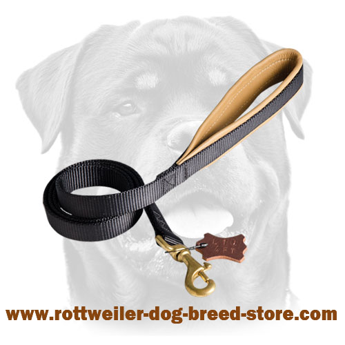 Nylon Dog Leash with Padded Handle