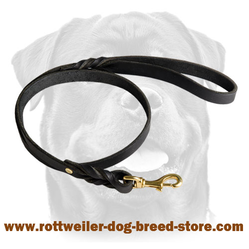 Handcrafted Leather Dog Leash for Walking and Tracking