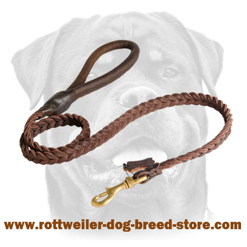 Rolled Leather Dog Leash 4 foot Round for Rottweiler