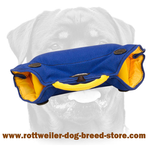 Puppy and Young Rottweiler Bite Builder made of French Linen
