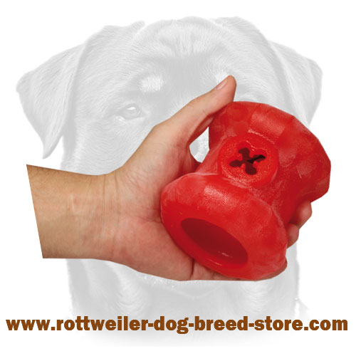 Large Challenging Dog Ball with 【Treats】 : Rottweiler Breed: Dog
