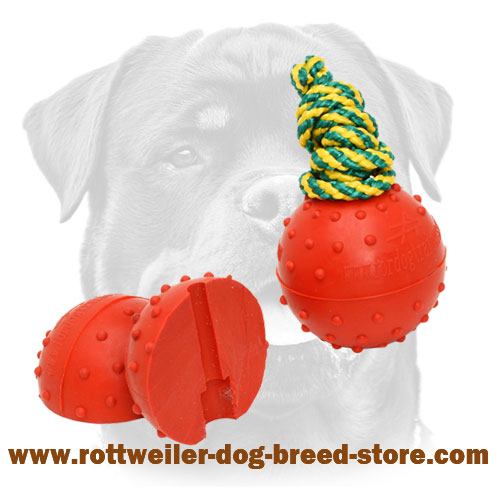 https://www.rottweiler-dog-breed-store.com/images/large/Rottweiler-ball-of-rubber-for-water-training-TT13_LRG.jpg