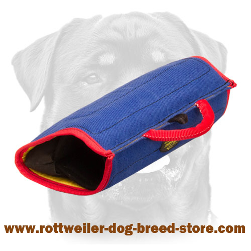 Quick Reward Sleeve - Bite Developer for Young and Adult Rottweilers