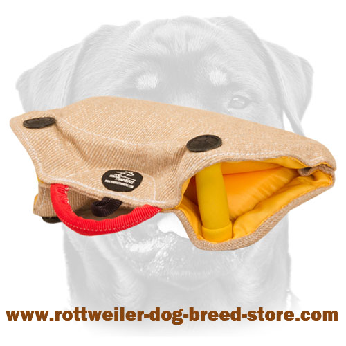 Rottweiler Puppy and Young Dog Bite Builder