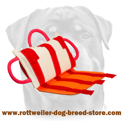 Bite Pillow with Leather Cover for Advanced Dog 【Training】 Rottweiler