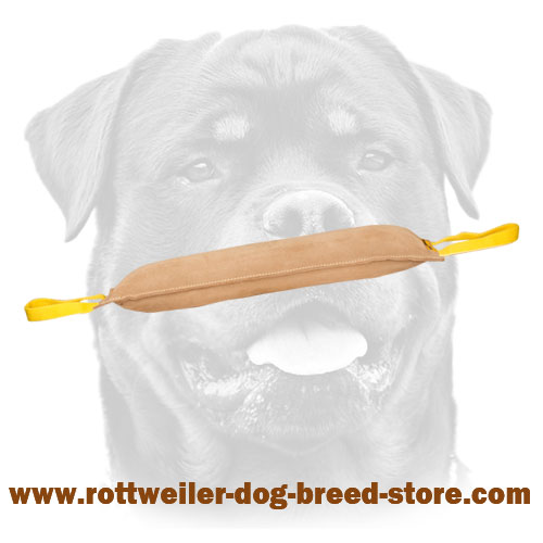 Leather Bite Tug with 2 Handles for Rottweiler