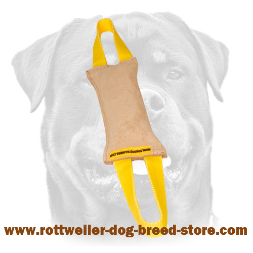 Dog Bite Tag Made of Leather with 2 Handles